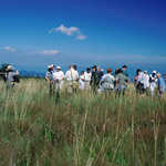 Visitors Enjoying a Field Seminar in Big Meadows