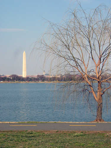 View of Washington Monument from George Washington Memorial Parkway