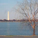 View of Washington Monument from George Washington Memorial Parkway