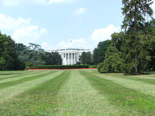 View of the White House