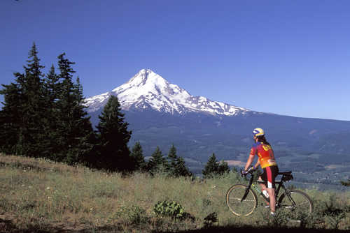 Cyclist and Mt. Hood