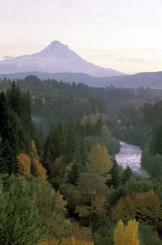 Fall View of Mt. Hood and the Hood River