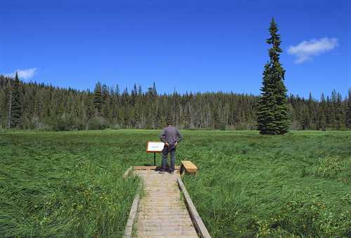 An Explanation in Summit Meadow