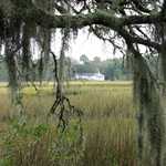 Marsh View to Botany Bay and Allen AME Church