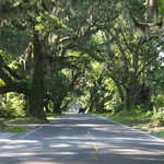 Edisto Island National Scenic Byway