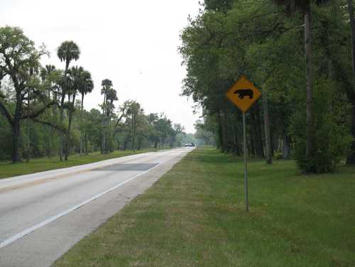 Florida Greenway and Silver River State Park
