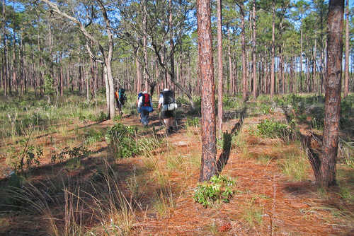 Hikers on the Florida Scenic Trail