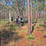 Hikers on the Florida Scenic Trail