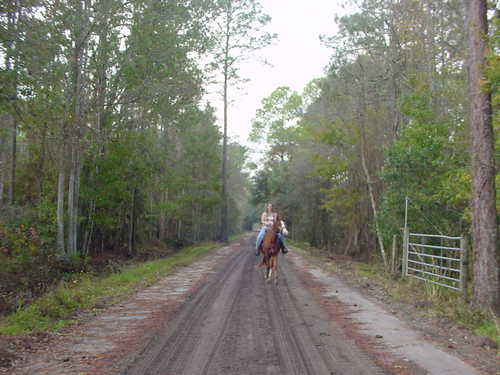 Trail Rider in Tiger Bay State Forest