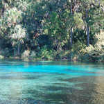 Alexander Springs, Shallows and Vent Area