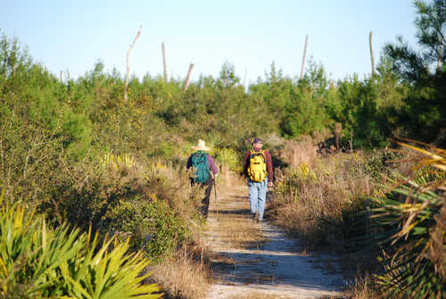 Hikers on the Yearling Trail