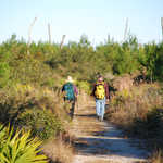 Hikers on the Yearling Trail