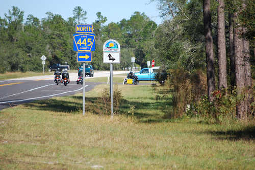 Florida Scenic Highway and Lake County Road 445 Signage