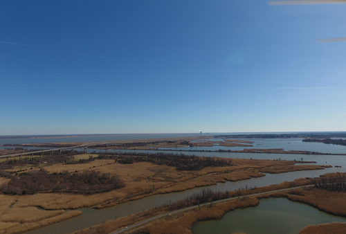 Aerial of Thousand Acre Marsh