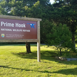 Prime Hook NWR Sign