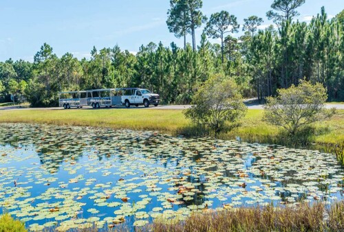 Activity in Topsail Hill Preserve State Park on Scenic 30A in Walton County, Florida