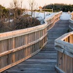 Boardwalk in Topsail Hill Preserve State Park on Scenic 30A in Walton County, Florida