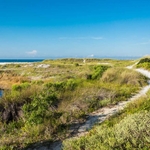 A trail in Grayton Beach State Park on Scenic 30A in Walton County, Florida