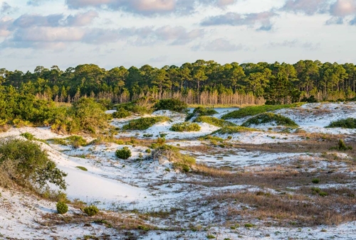 Sand dunes in Deer Lake State Park in Walton County, Florida
