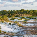 Sand dunes in Deer Lake State Park in Walton County, Florida