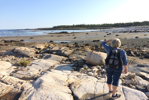 Petit Manan Beach- Walk