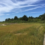 Cape Cod Natural History Museum Trail