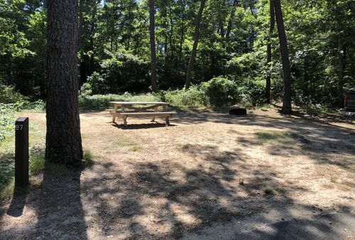 Campsite at Nickerson State Park