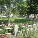 Cemetery Orleans Center