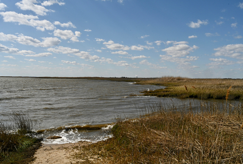 Bayshore Heritage Byway, NJ, Bayside/Caviar Tract Preservation Site, Greenwich, Twp.