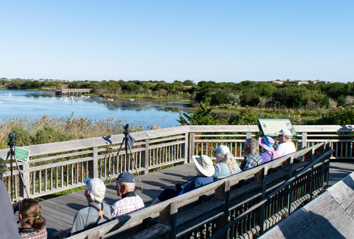Bayshore Heritage Byway, NJ, Cape May Point State Park, Cape May Point, Lower Township, NJ – The Cape May Hawk Watch. It is not uncommon to find internationally famous ornithologists visiting the platform.