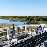 Bayshore Heritage Byway, NJ, Cape May Point State Park, Cape May Point, Lower Township, NJ – The Cape May Hawk Watch. It is not uncommon to find internationally famous ornithologists visiting the platform.