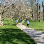 Joggers and walkers along the Songbird Trail