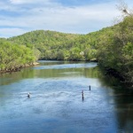 Fly Fishers along the Clinch River below the Dam