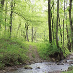 Clear Creek and hiking trail