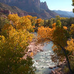 Virgin River in the Fall