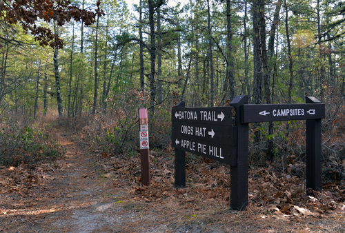 F2aBatonaTrailSign_Pine Barrens BWY-NJ