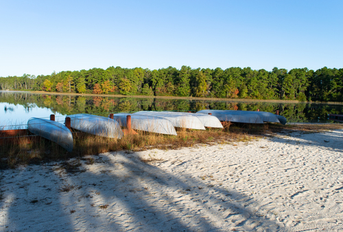 F3aBassRiverStateForest_Pine Barrens BWY-NJ