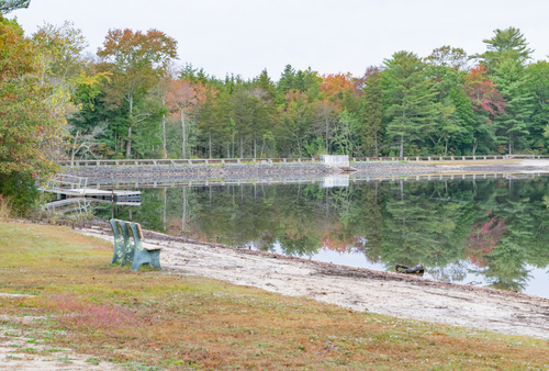 F8aLakeNummyinBelleplain_Pine Barrens BWY-NJ