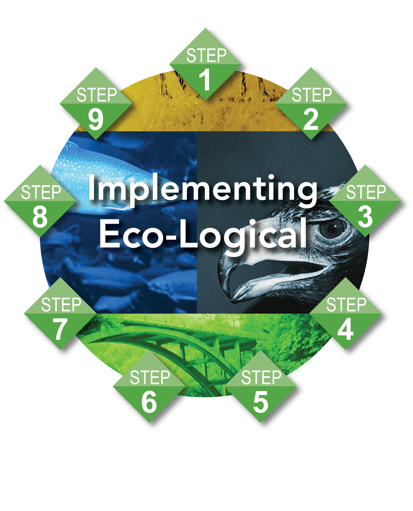 Natural Environment and Implementing Eco Logical